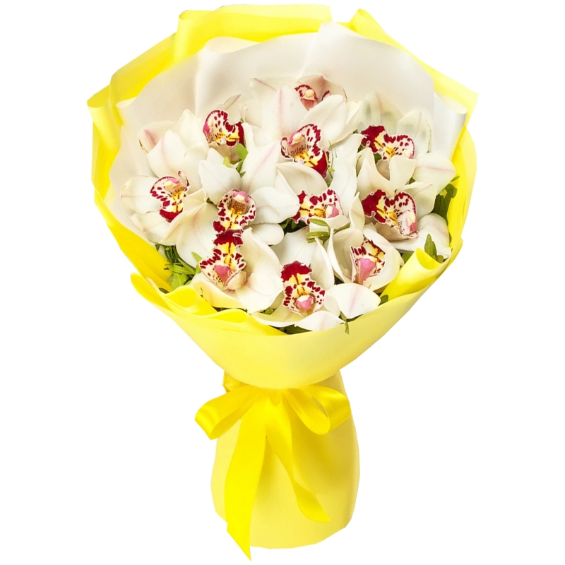 Букет из 11 белых орхидей