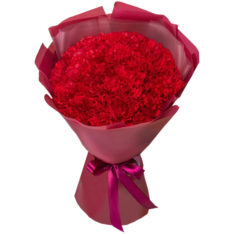 Букет из 25 красных гвоздик